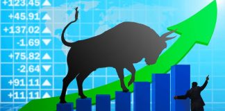 नेप्सेमा २७.१९ अंककाे बृद्धि, साढे ११ अर्ब ५८ कराेडकाे काराेबार