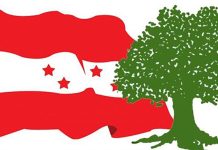 नेपाली कांग्रेसको विशेष महाधिवेशन पक्षधरद्वारा विशेष भेला आयोजना