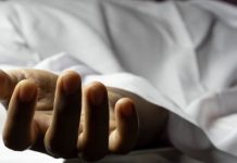 सर्पदंशबाट कैलालीमा २९ वर्षीय युवकको मृत्यु