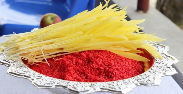 dashain-tika_dt8pzc3kQf