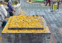 बालाचतुर्दशीः डोलेश्वर,ज्योतिर्लिङ्गेश्वर र गोकुलधाममा छरियो शतबीज