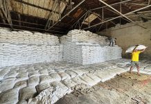 यस्तो छ रासायनिक मल आयातको अवस्था