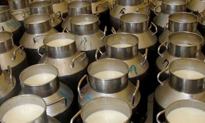 milk (1)