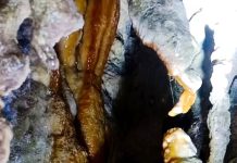 अनौठो ‘पाउद्वार मुर्ताला धार्मिक गुफा’ !