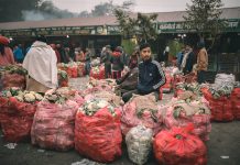 खुला नाकाबाट सोझै वीरगन्ज भित्रिन्छ भारतीय तरकारी