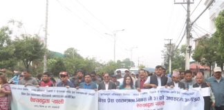 विश्व प्रेस स्वतन्त्रता दिवस: पत्रकार महासङ्घको ऐक्यबद्धता पदयात्रा