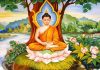 वैशाख शुक्ल पूर्णिमाः मनाइँदै बुद्ध जयन्ती