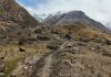 मुस्ताङका पर्यटकीय पदमार्ग स्तरोन्नति गरिँदै