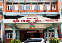 बाली लगाउनुअघि नै समर्थन मूल्य तोक्ने व्यवस्था लागू