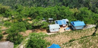 व्यावसायिक रुद्राक्ष खेतीबाट राम्रो आम्दानी गर्दै मैदानेका किसान