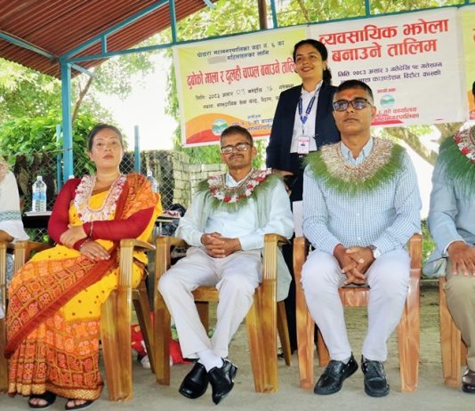 पोखरा वडा नं ६ मा महिलाका लागि सीपमूलक तालिम सम्पन्न