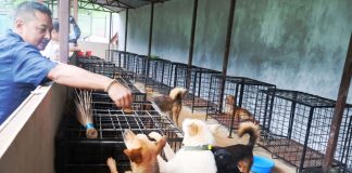 बागलुङमा कुकुरलाई ‘होस्टेल’