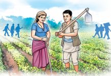 स्थानीय बाली उत्पादन र प्राङ्गारिक खेतीका लागि अनुदान