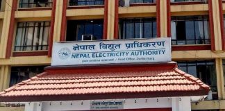 विद्युत् महसुललाई समायनुकूल बनाउने प्राधिकरणको तयारी