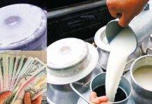 कास्कीका दुग्ध उत्पादक किसानलाई अनुदान
