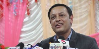 पर्यटन क्षेत्र मुलुकको अर्थतन्त्रको मेरुदण्ड: डिपी अर्याल