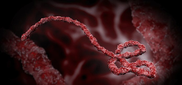 1666082410_ebola_Virus_Ibola_इबोला-भाइरस-1200x560-1