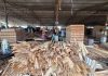 भेनियर उत्पादनसँगै रोजगारी बढाउँदै सुनौलो प्लाइ उद्योग