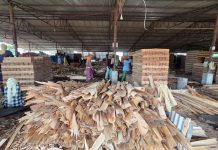 भेनियर उत्पादनसँगै रोजगारी बढाउँदै सुनौलो प्लाइ उद्योग