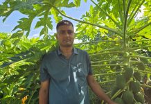 प्रहरीबाट अवकाशपछि कृषि पेसामा रमाइरहेका विष्ट