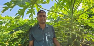 प्रहरीबाट अवकाशपछि कृषि पेसामा रमाइरहेका विष्ट