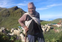 भेडागोठमा लालबिरका सात दशक