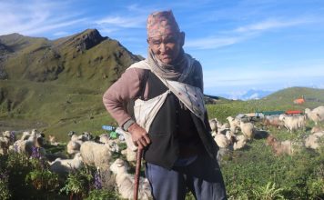 भेडागोठमा लालबिरका सात दशक