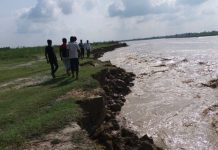 लालपुर्जा हातमा, जमिन बलानमा (आलेख)