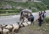 सहरको स्वादका लागि छुट्छ हिमालको दसैँ-तिहार