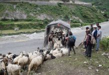 सहरको स्वादका लागि छुट्छ हिमालको दसैँ-तिहार