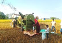 ‘थ्रेसर मेसिन’सञ्चालन गरेर गाउँमै स्वरोजगार