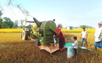 ‘थ्रेसर मेसिन’सञ्चालन गरेर गाउँमै स्वरोजगार
