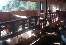 गाउँमै रोजगारीको बाटो खोज्दै भोजपुरका युवा