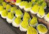 नवदुर्गाको प्रसाद-बिक्रीमा जमरा