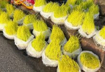नवदुर्गाको प्रसाद-बिक्रीमा जमरा